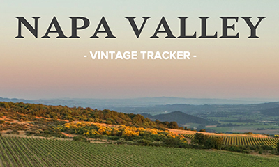 Napa Valley 2024 Vintage Notes