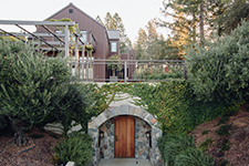 Lot #308