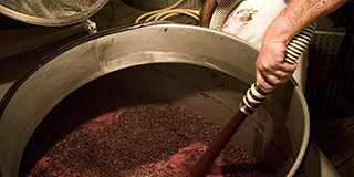Napa Valley Wines