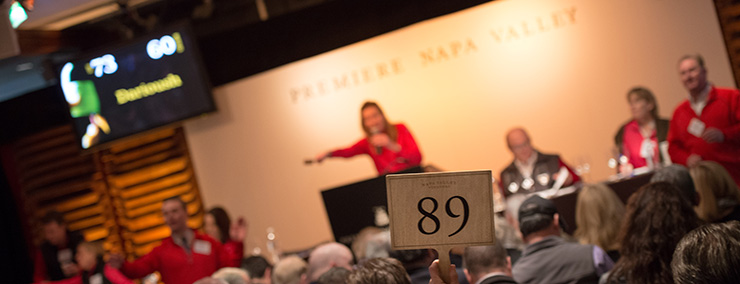 Premiere Napa Valley 2013 Auction