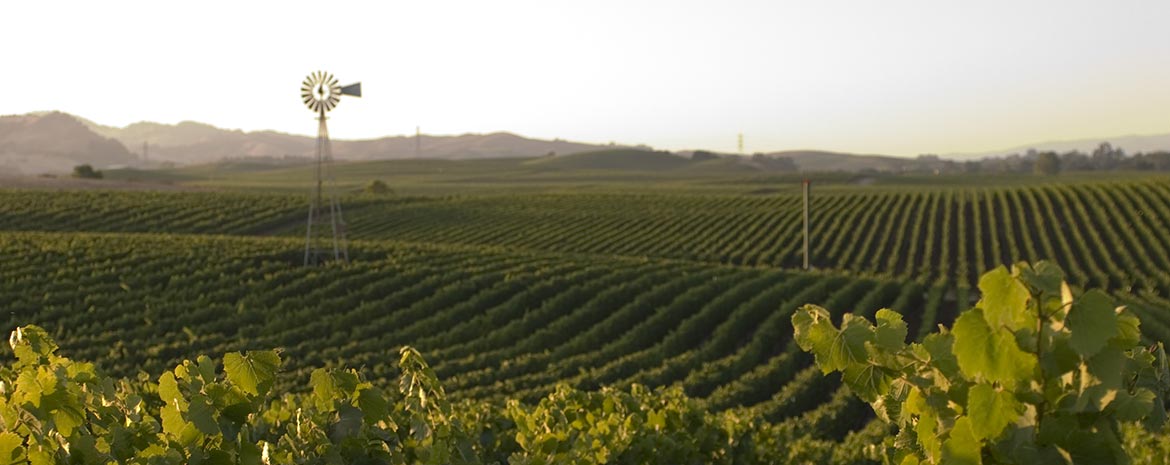 Caring for Land and Community: America's first agricultural preserve