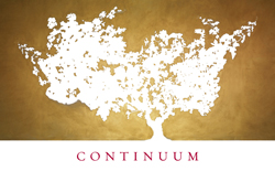 Wine Label for Continuum Estate