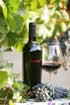 Label for Tom Scott Vineyard