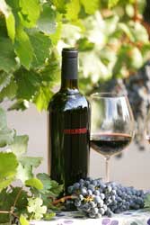 Wine Label for Tom Scott Vineyard