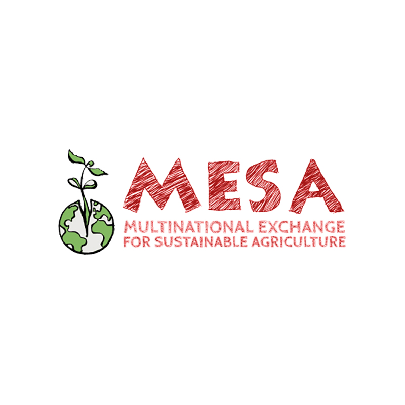 MESA