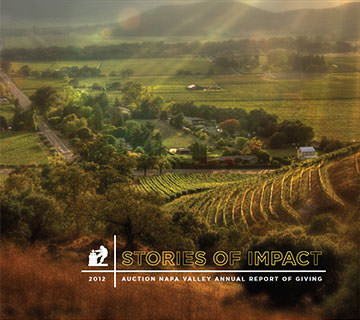 2012 annual report