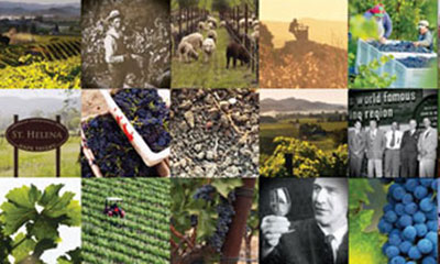 Napa Valley Cultivating Excellence