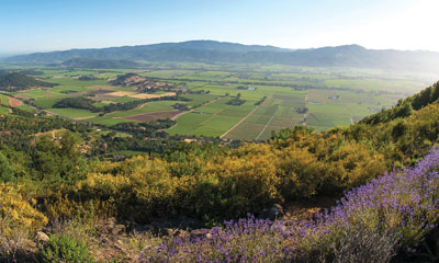 Agricultural Preserve