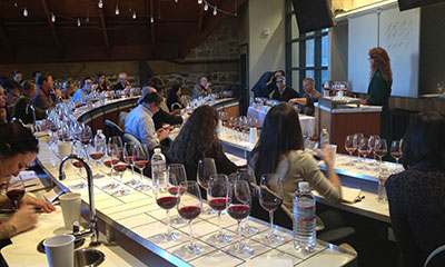 Napa Valley Vintners Professional Development