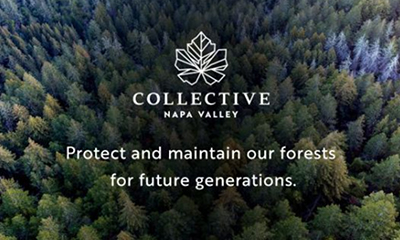 Napa Valley Wildfire Protection