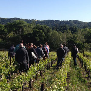 Napa Valley Steakhouse Sommelier Summit