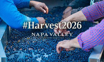 2026 Napa Valley Harvest