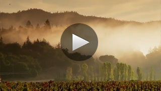 Napa Valley Soils & Climate