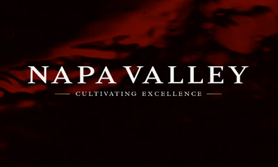 Napa Valley Wine Varieties