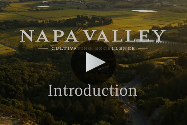 Napa Valley Rocks Introduction