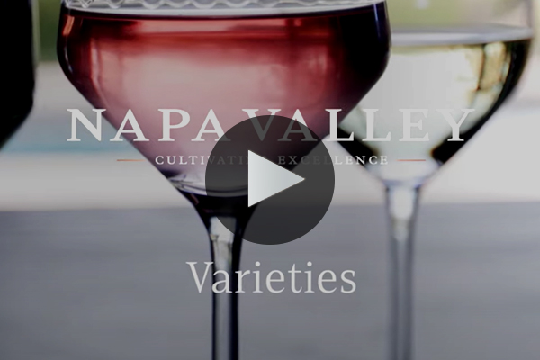 Napa Valley Varieties